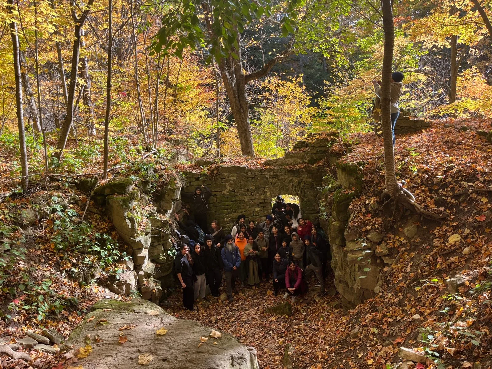 Progress Peel group standing in a forested hiking area