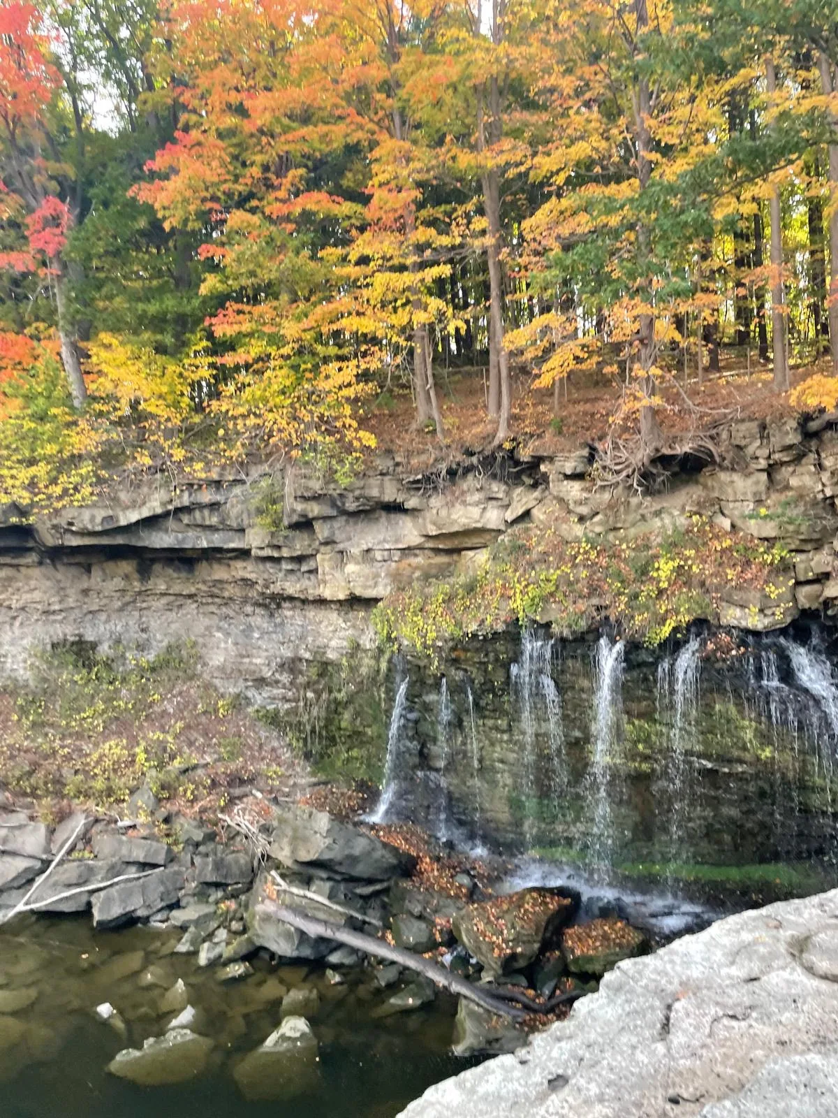 Waterfall and autumn trees seen during a Progress Peel hike